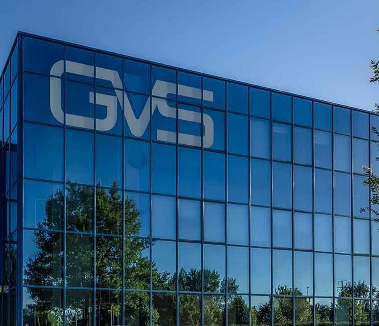 ggvs ggvs